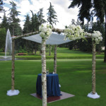 Birch Wedding Chuppah