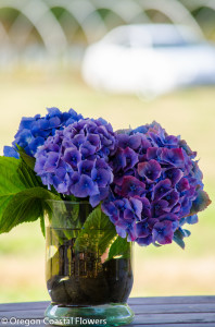 Big Blue Hydrangea Wedding Flowers