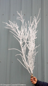 Decoratively Flocked Christmas Branches