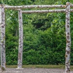 Easy Assembly Birch Wedding Arch