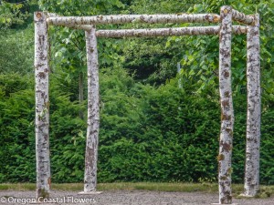 Natural Wedding Arches including Chuppahs & Pergolas 3.01.18