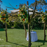 Elegant Wood Wedding Chuppah