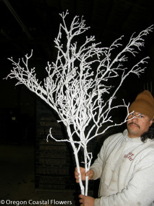 Holiday Flocked Flowering Branches