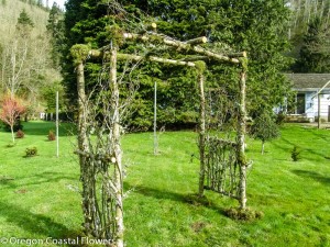 Custom Birch Wedding Arches, Pergolas, and Chuppah.
