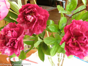 Red Peony Flowers