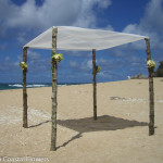 Rustic Wedding Chuppah