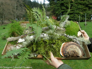 Forest Droppings feature specialty mosses & lichens harvested on the forest floor