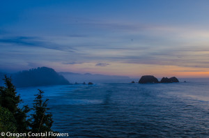 Beautiful Oregon Coast Photos