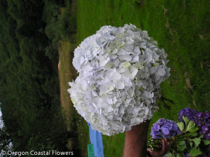 White Hydrangea Wedding Bouquet