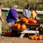 Kilchis River Pumpkin Patch and Corn Maze