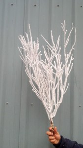 Flocked Huckleberry Branches