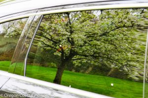12.08.22 Flowering Branch Preview 2023