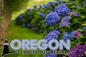 3.07.17 availability