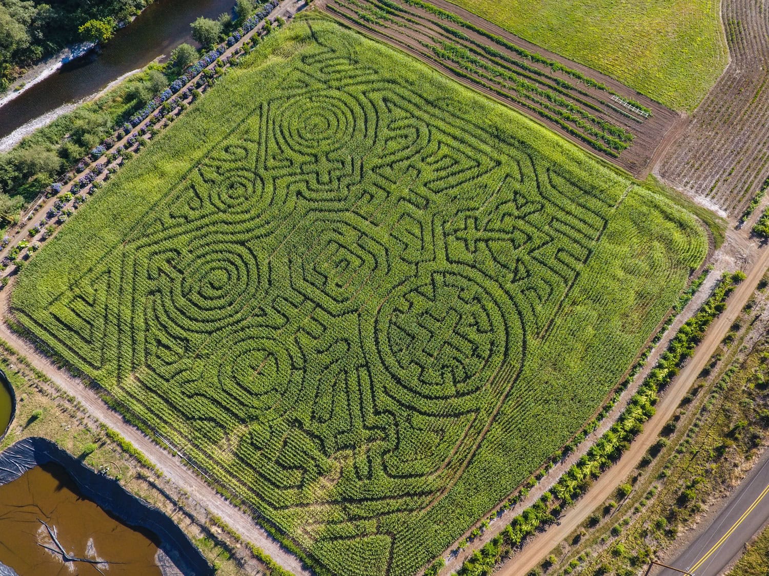 Kilchis River Pumpkin Patch & Corn Maze