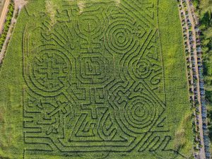 oregon coast pumpkin patch & corn maze