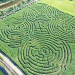 corn mazes on the oregon coast