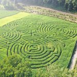 kilchis river corn maze