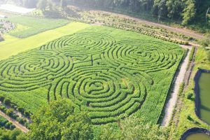 kilchis river corn maze
