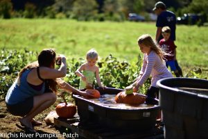 kilchis river pumpkin patch