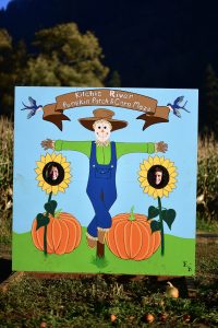 pumpkin patch