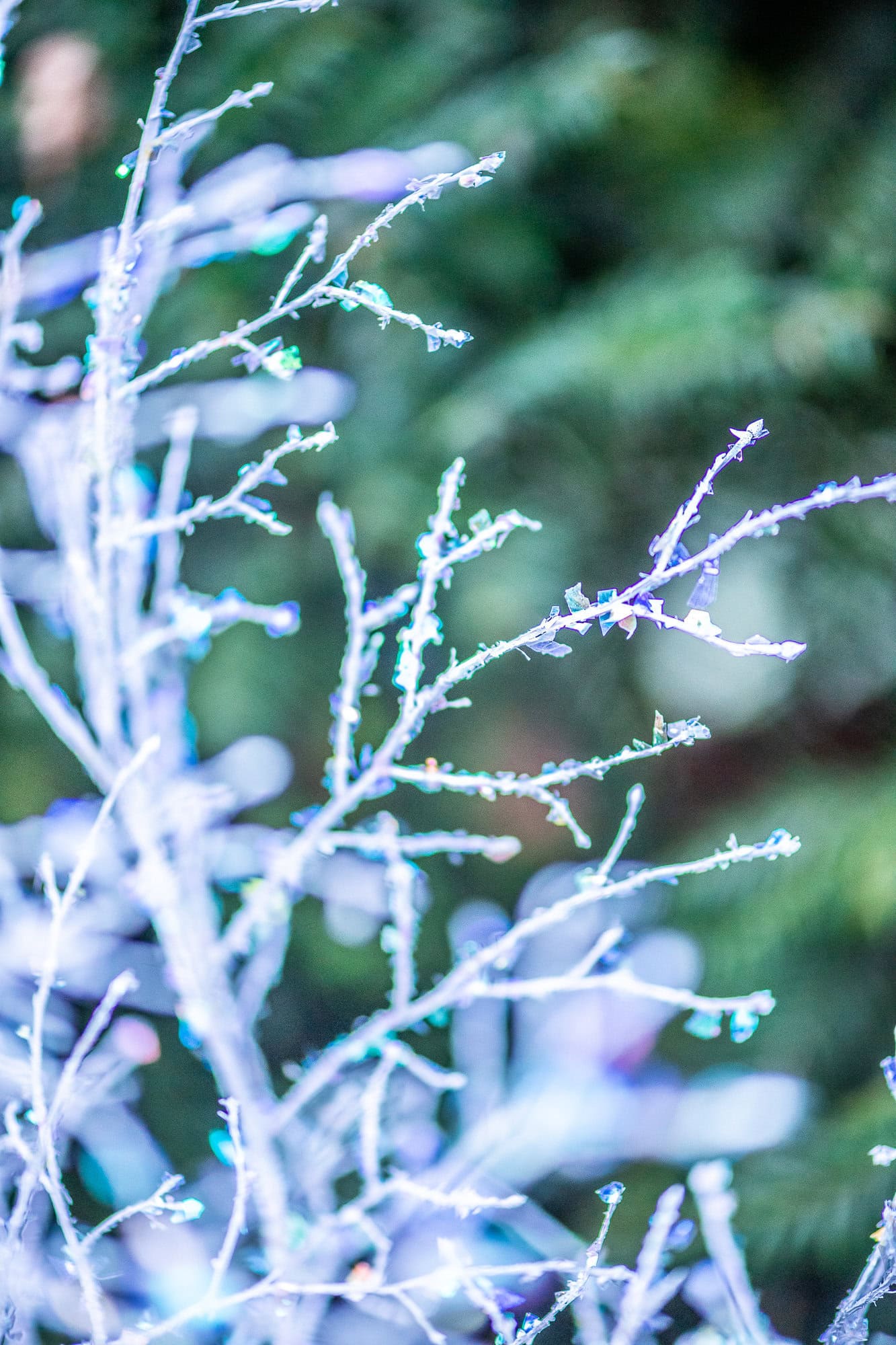 glittered branches