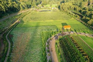 10.24.19 Kilchis River Pumpkin Patch & Corn Maze