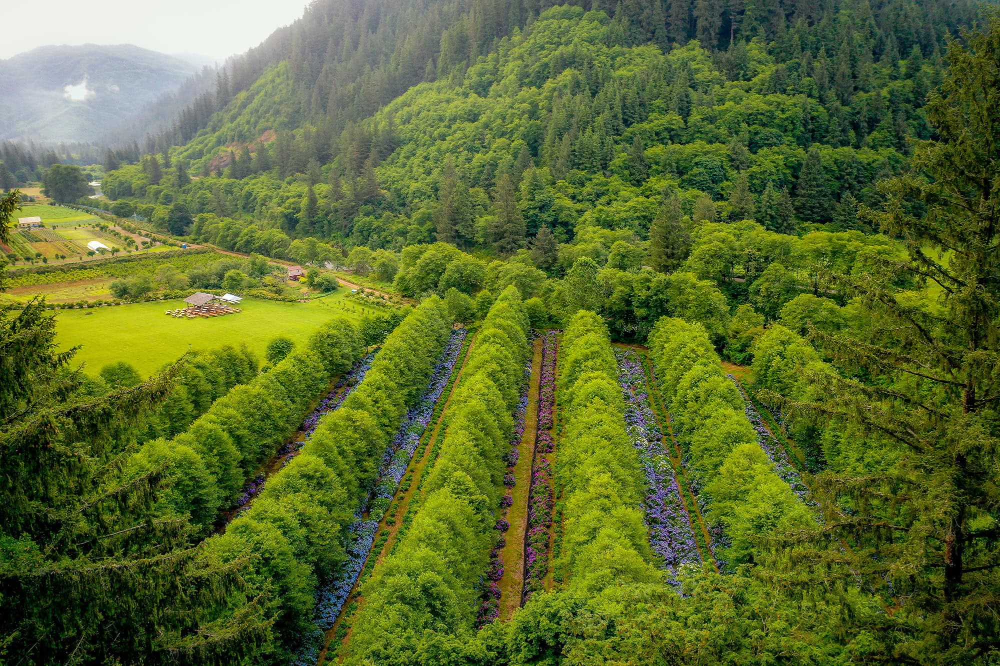 Outdoor wedding venue on the Oregon Coast