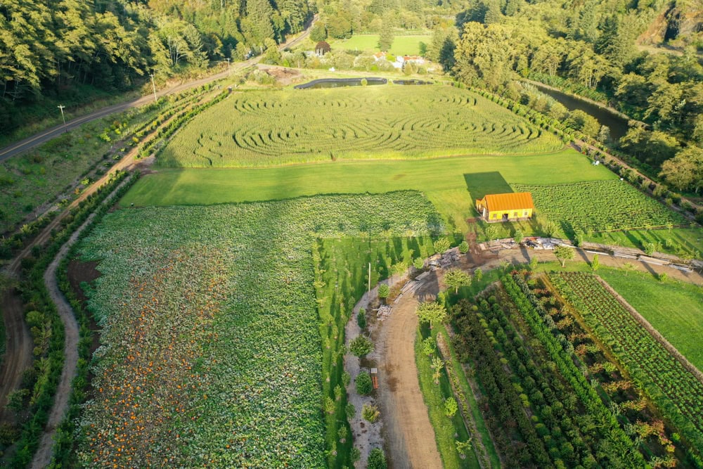 10.24.19 Kilchis River Pumpkin Patch & Corn Maze