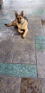 ashlar blue stone acid stain