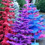 flocked christmas trees