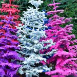 flocked colorful trees 