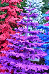 flocked purple christmas trees