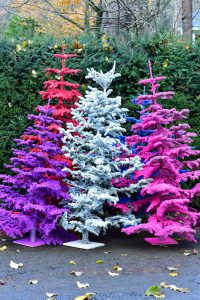 oregon coastal flowers flocked christmas trees