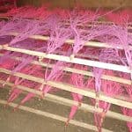 pink specialty Christmas branches