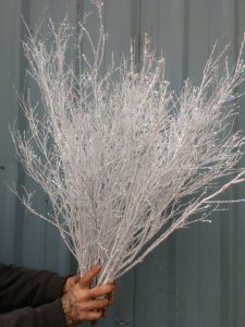 11.29.20 Specialty Christmas Branches