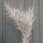 medium flocked branches