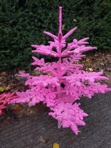 pink christmas trees