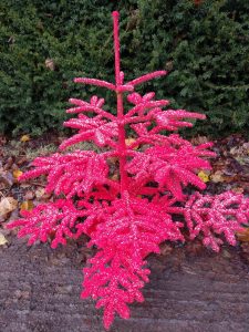 red christmas trees