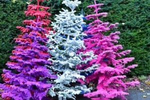 colored flocked christmas trees