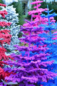 10.18.21 Christmas Specialty Flocked Branches