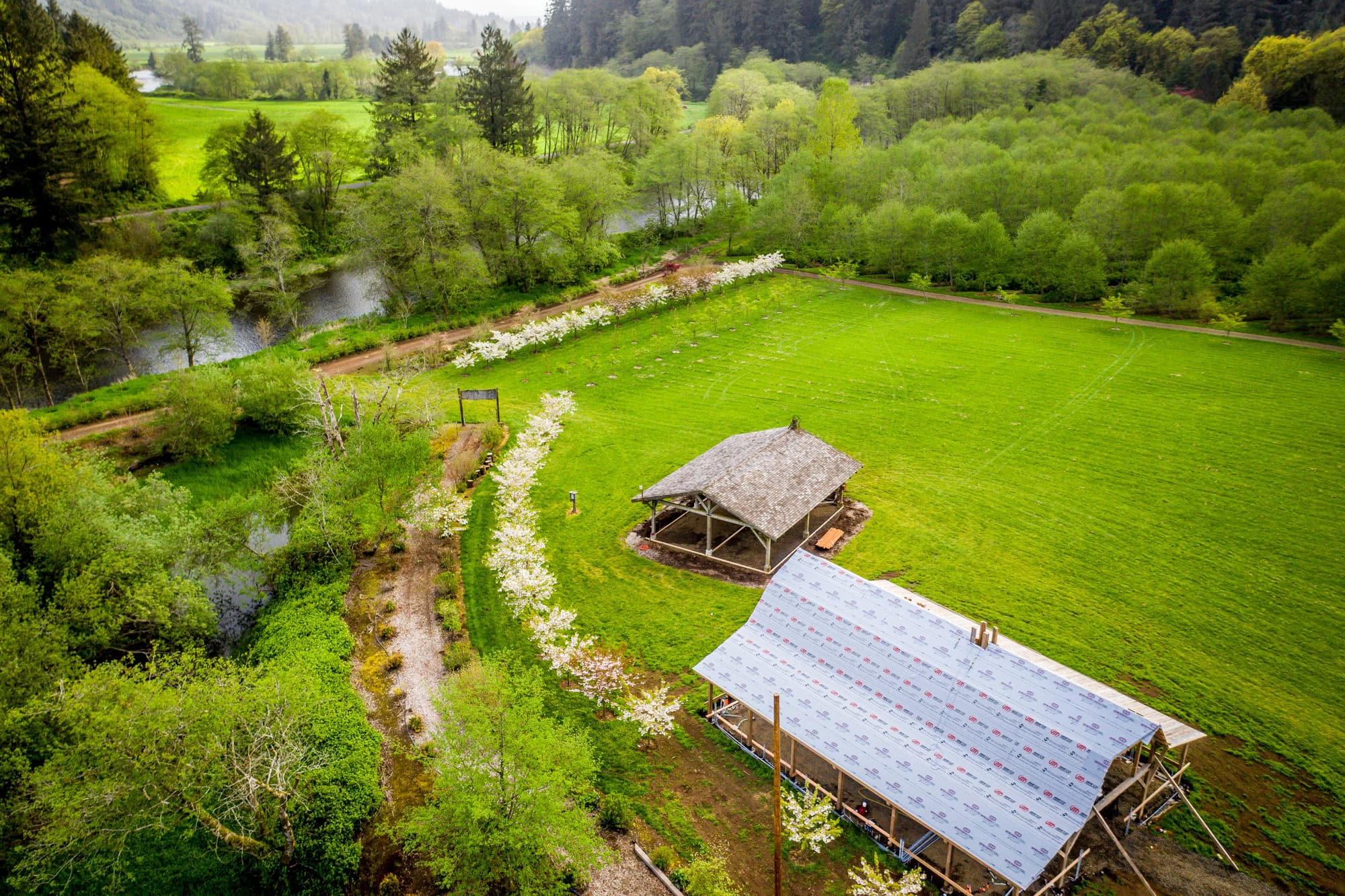 flower farms Oregon Coastal Flowers