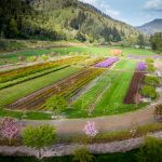 wedding venues on the oregon coast