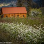 flower farms in oregon