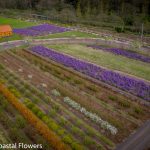 springtime on the oregon coast