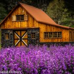 barn wedding venues on the oregon coast