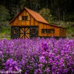 oregon coast wedding venues