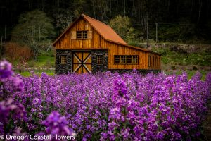 Oregon Coastal Flowers Return Policy