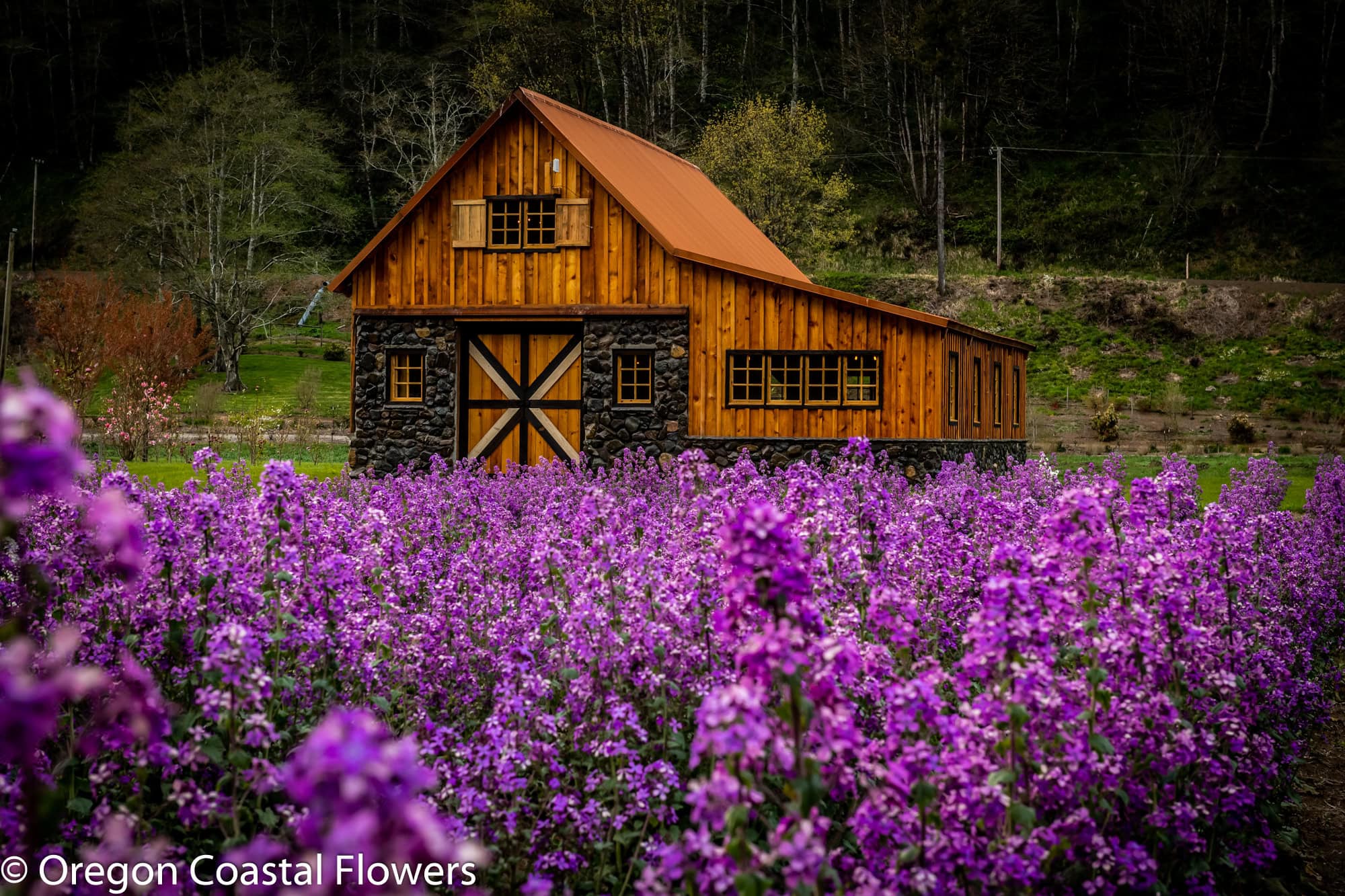 Oregon Coastal Flowers Return Policy