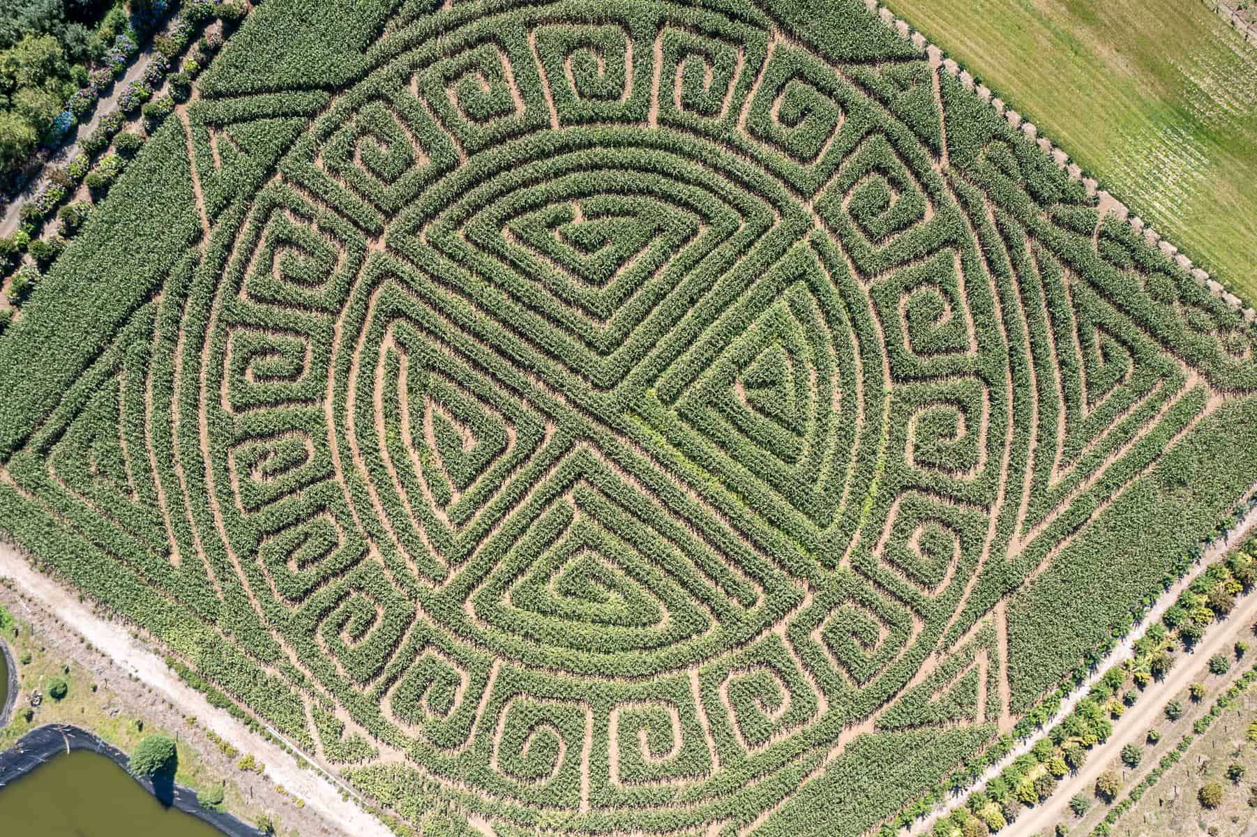 2021 Kilchis River Pumpkin Patch & Corn Maze opening soon.