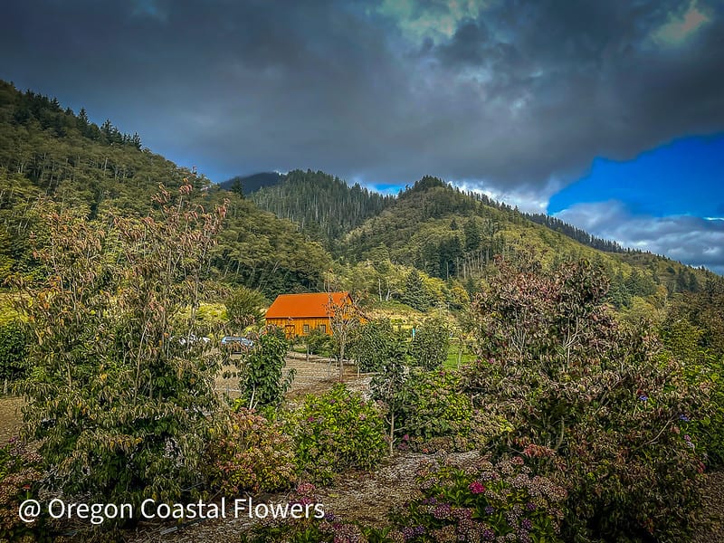 9.28.21 Kilchis River Pumpkin Patch & Corn Maze Oregon Coast Fun